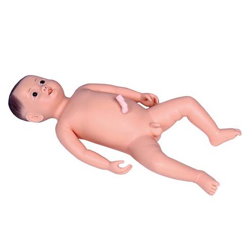 Mannequin de soins du nouveau-né W45055 3B Scientific - Dolphitonic